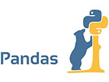 Pandas 入门教程