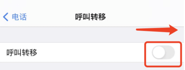 苹果iPhone 13手机呼叫转移怎么设置