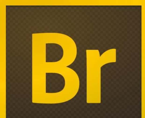 br是什么软件主要用于做什么
