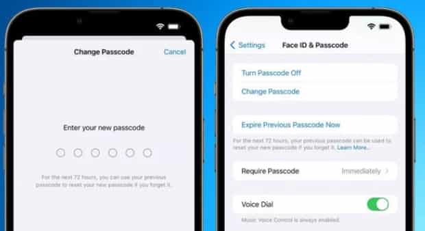 苹果 iOS 17 新功能：重置密码 72 小时内可使用旧密码再次重置