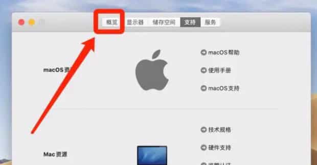 笔记本序列号怎么查,如何查询电脑的序列号