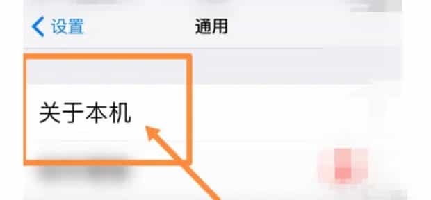 iPad 生产日期怎么看,Ipad的生产日期在哪里看