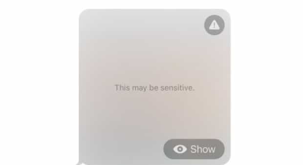 iOS 17 可自动识别和屏蔽含有敏感内容的照片等文件