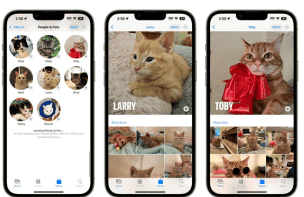 苹果 iOS 17 照片应用支持识别宠物：能够正确地分辨出两只橘猫
