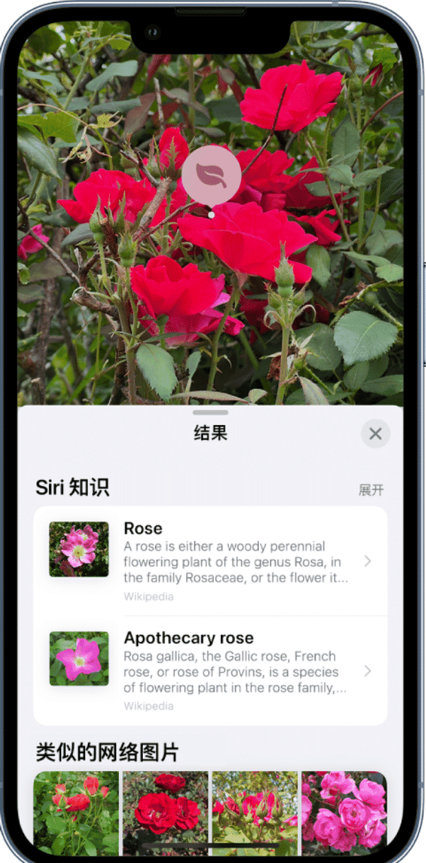 苹果 iOS 17 升级“看图查询”功能:可识别车辆仪表盘上的标志