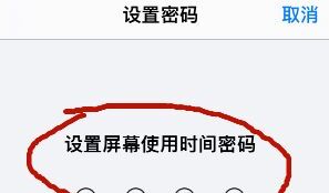 苹果12设置屏幕锁密码如何设置,苹果12怎么设置密码锁屏