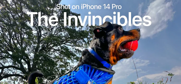 苹果分享 iPhone 14 Pro 拍摄的短片：使用 LiDAR 为宠物定制假肢