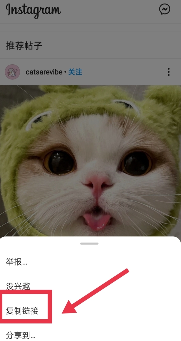 ins上的视频怎么保存