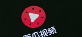 西瓜视频收益如何计算