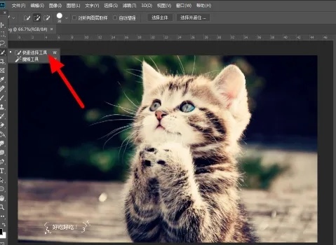 ps快速抠图技巧有哪些,ps抠图最快又完整的方法教程
