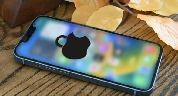 苹果新专利：iPhone 屏幕内嵌电动滤光器，防止隐私泄露