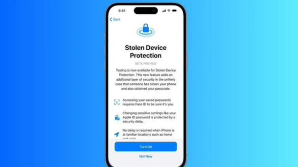 苹果发布 iOS 17.3/iPadOS 17.3 开发者预览版 Beta，带来“设备被盗保护”功能