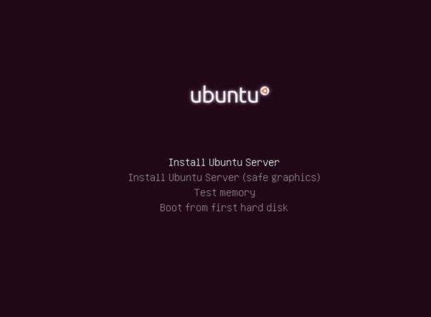 Ubuntu 20.04 server 详细图文安装教程