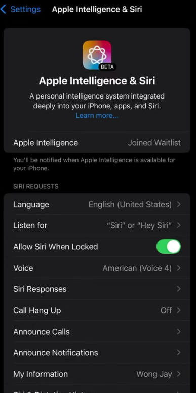 iOS 18.1 开发者预览版 Beta 发布，iPhone 15 Pro / Max 独享