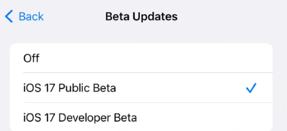 苹果 iOS / iPadOS 18.1 开发者预览版 Beta 2 发布：简化 Photos、增强 Safari 分心控制等