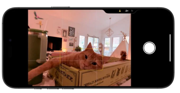 iOS 18.1 Beta 5新功能：快速重置自定义控制中心，控制按钮加入新的自拍相机选项