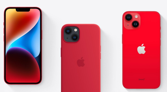 2024 年 Apple Pay 捐款活动共筹集了 300 万美元