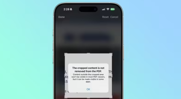 苹果发布 iOS / iPadOS 18.3 开发者预览版 Beta 3 