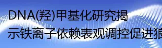 DNA(羟)甲基化研究揭示铁离子依赖表观调控促进狼疮致病性T细胞分化｜易基因