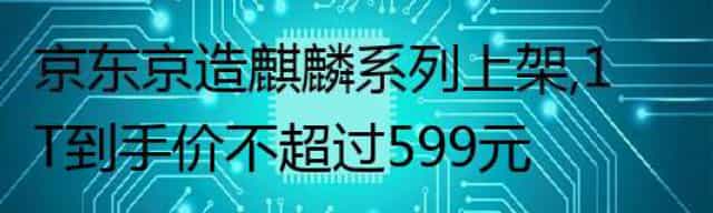 京东京造麒麟系列上架,1T 到手价不超过 599 元