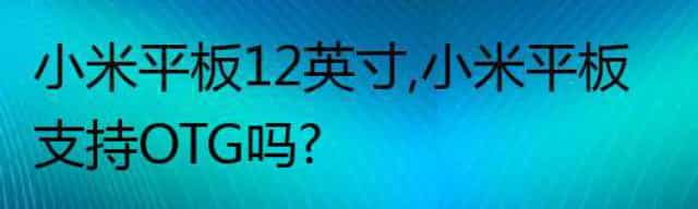 小米平板12英寸，小米平板支持OTG吗？