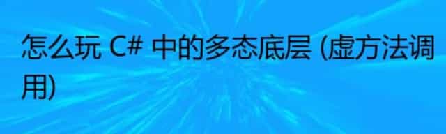 怎么玩 C# 中的多态底层 (虚方法调用)