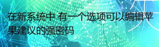 在新系统中 有一个选项可以编辑苹果建议的强密码