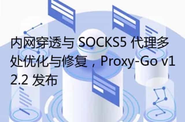 内网穿透与 SOCKS5 代理多处优化与修复,Proxy-Go v12.2 发布