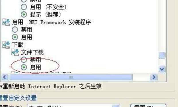 解决电脑出现当前安全设置不允许下载文件