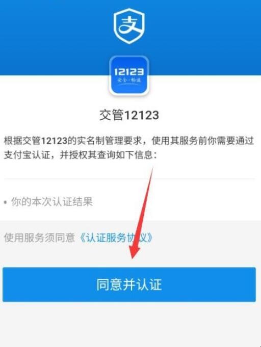 支付宝如何查询车辆违章记录