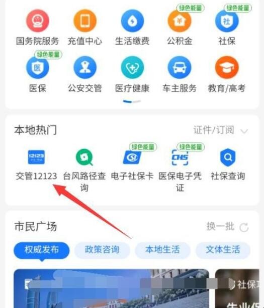支付宝如何查询车辆违章记录