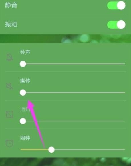 抖音没有声音怎么办