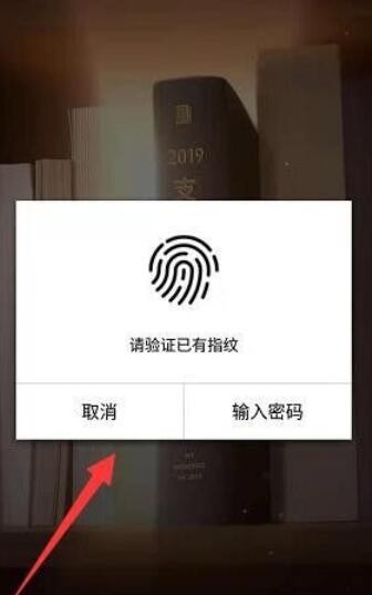 2019支付宝年度账单在哪查看 2019支付宝年度账单在哪查看