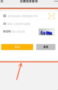 宁远非税缴费怎么交