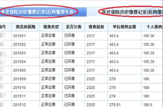 怎么查询济南市社会保险明细