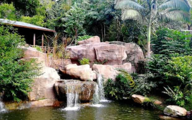 厦门园林植物园