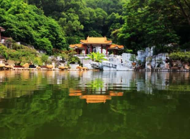 仙湖植物园门票怎么预约