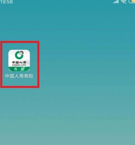 中国人寿保险单号如何查询
