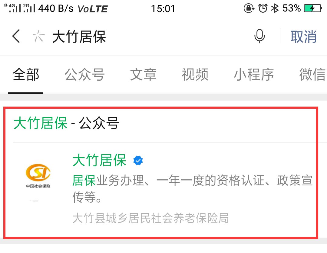 大竹居保缴费查询流程是什么