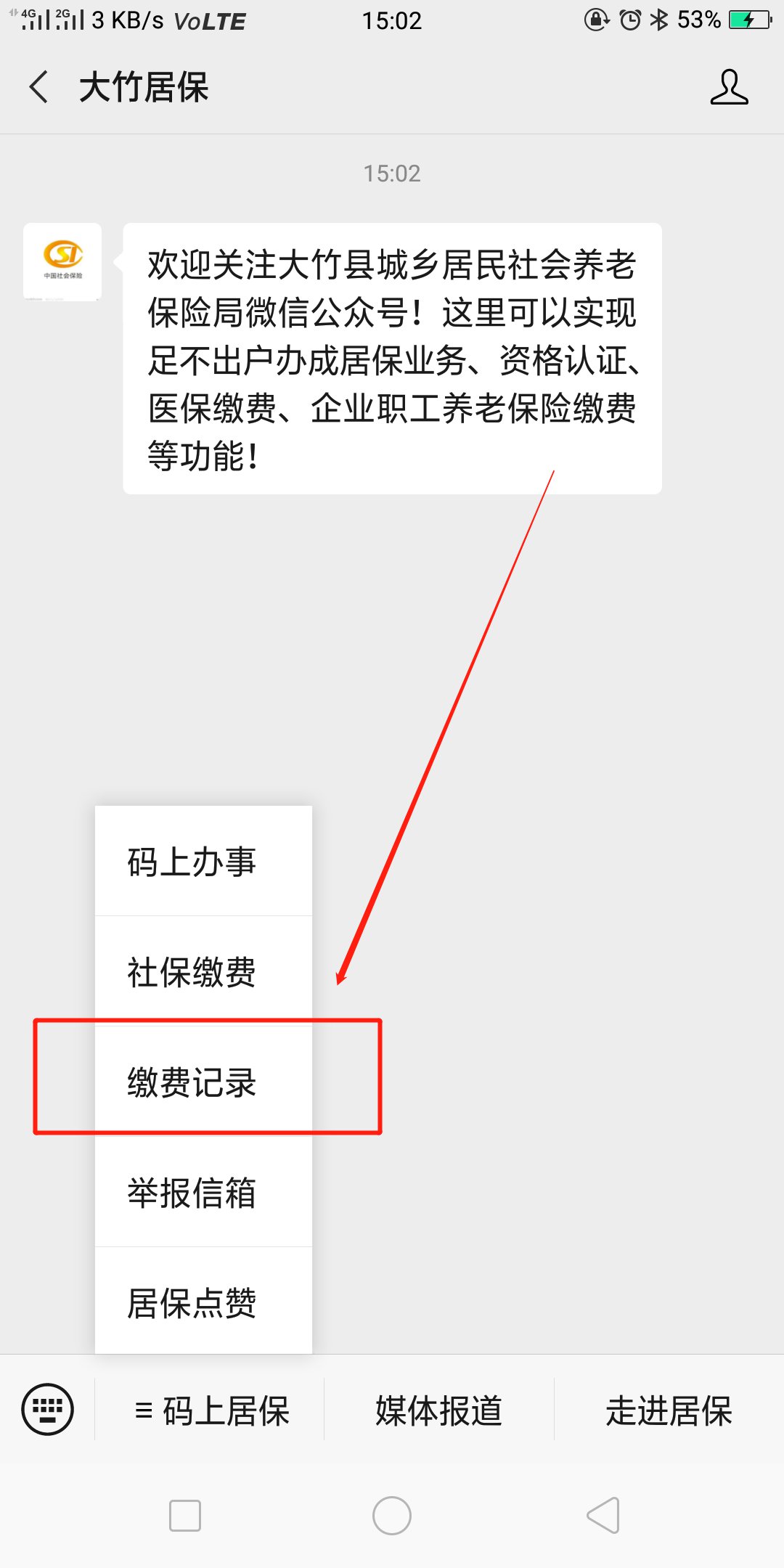 大竹居保缴费查询流程是什么