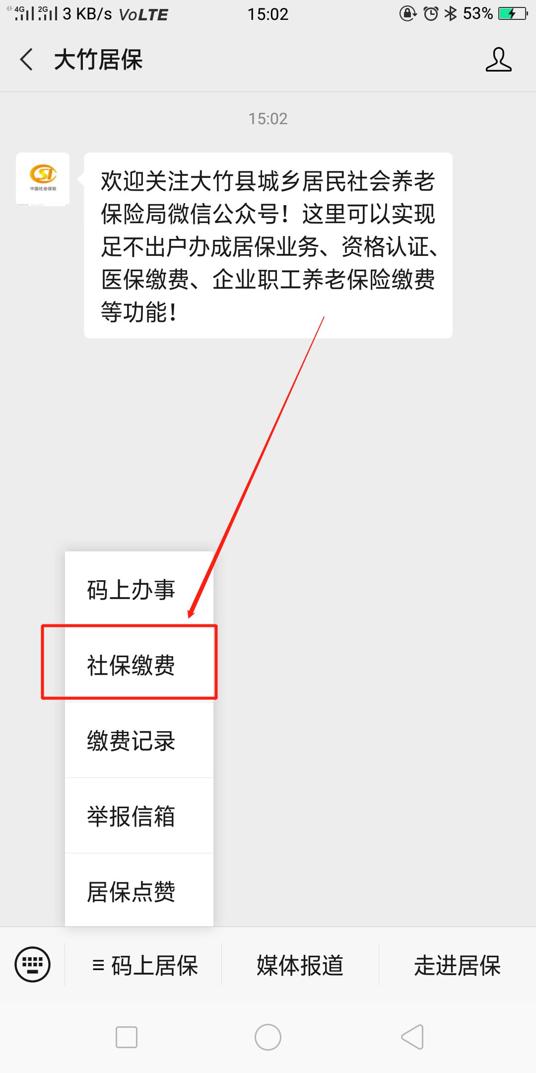 大竹居保缴费查询流程是什么