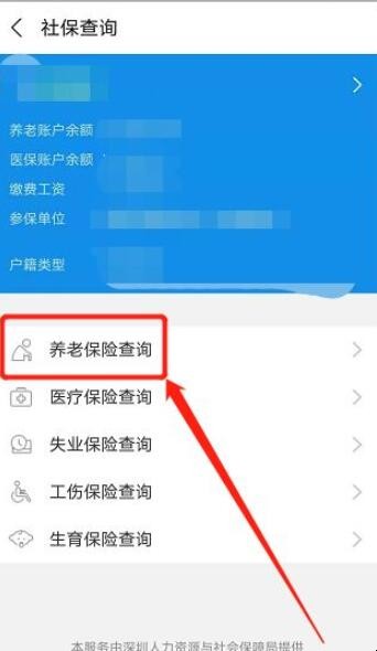 山西省养老保险如何查询