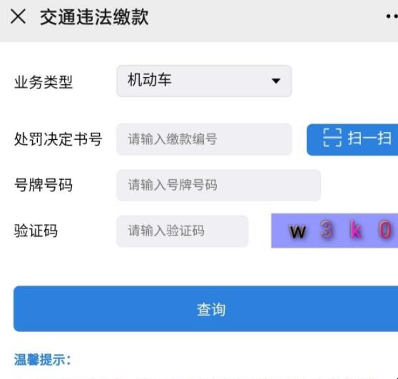 深圳交警缴费服务入口是什么