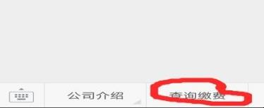 天然气公众号缴费