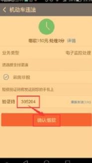 怎么从网上代缴全国交通违章罚款