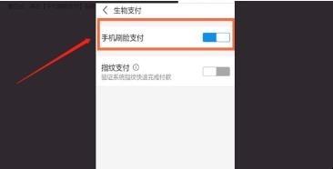 支付宝怎么取消人脸识别