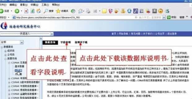 国泰安数据库怎样使用