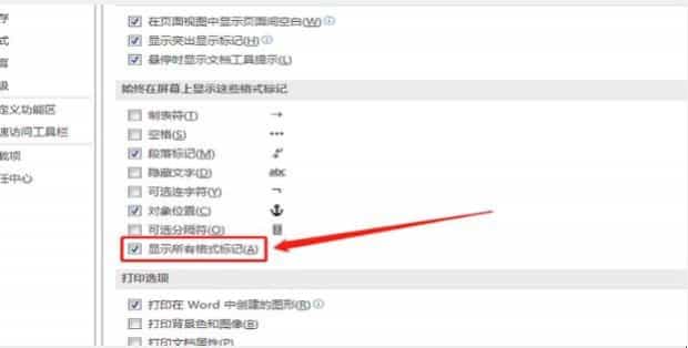 WPS文档中如何删除分节符