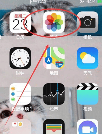 苹果手机壁纸怎么设置成合适尺寸,苹果手机如何设定壁纸