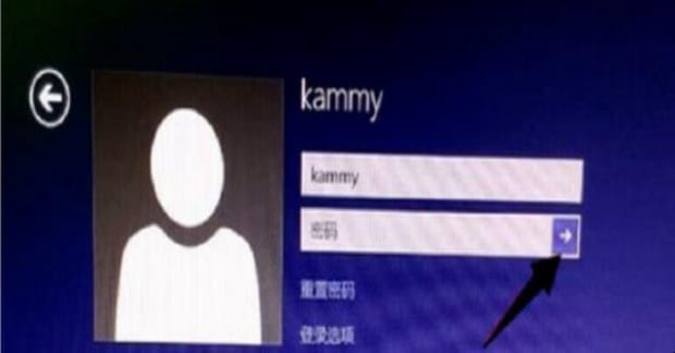 win 10 域 密码 忘了,windows10系统开机登录密码忘记了怎么办